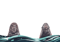 Sea Ocean Sticker by De Aqua Vivo