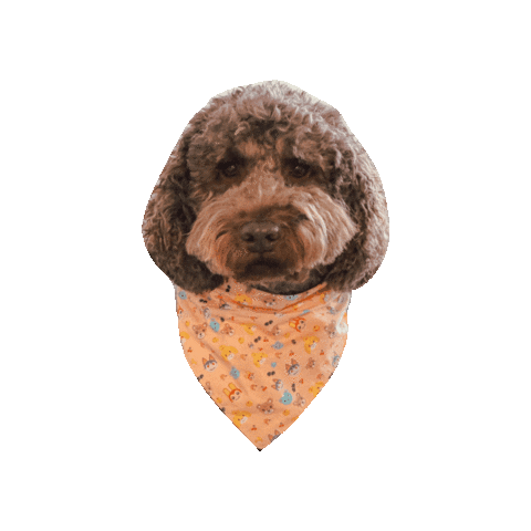Animal Crossing Doodle Sticker by Geekster Pets