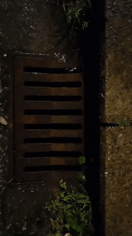 Simongip giphyupload GIF