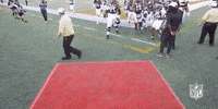 National Football League GIF by NFL