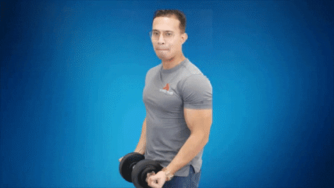 Fitness Crush It GIF by The Perfect Trainer