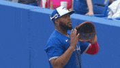 I See You Mlb GIF by Toronto Blue Jays