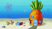 episode 1 whirly brains GIF by SpongeBob SquarePants