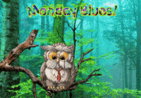 Owls Expressions GIF