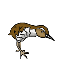 kingandrail guam koko king and rail koko bird Sticker