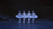 enballet  GIF