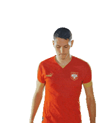 Fifaworldcup Sticker by sportmts