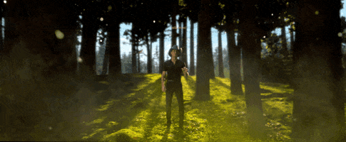 woods forrest GIF by Forever Country (CMA)