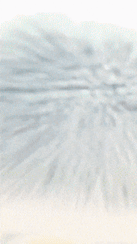 Poppyplaytime GIF by Youtooz