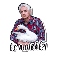 Rtlklub Liba Sticker by RTL Magyarország