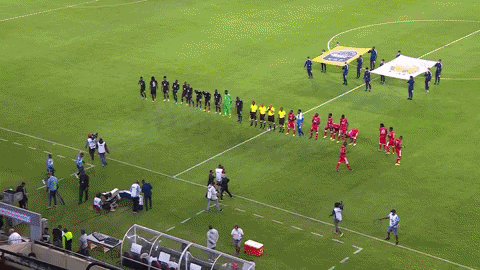 assimines giphygifmaker GIF