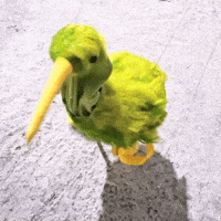 Happy Dance GIF