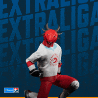 Hockey Hokej GIF by Tipsport extraliga