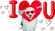 Heart Love Sticker