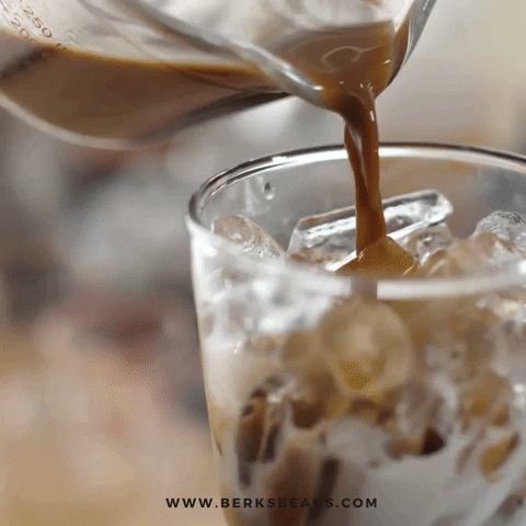 Good Morning Starbucks GIF by Berk's Beans Coffee