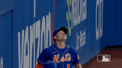 Ny Mets Catch GIF by New York Mets