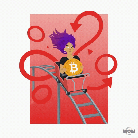 Roller Coaster Bitcoin GIF by World Of Women