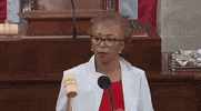 Opening Day Gavel GIF by GIPHY News