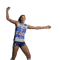 Guitar Volleyball Sticker by ImocoVolley