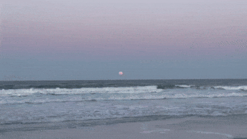 Pink Moon Rises Over Eastern Florida