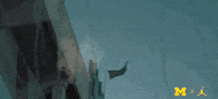 Go Blue Michigan Football GIF by Michigan Athletics