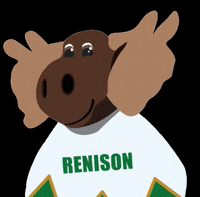 RenisonUC renison renison college renimoose reni moose GIF