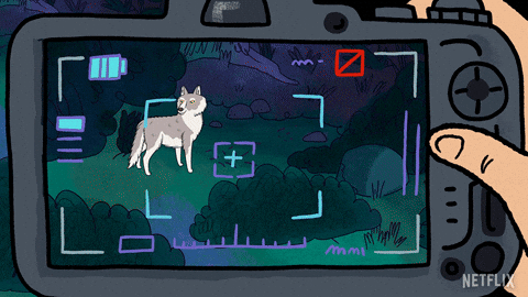 Bojack Horseman GIF by NETFLIX