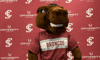 Santa Clara University Go Broncos GIF by Santa Clara Broncos