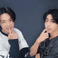 Stray Kids Skz GIF