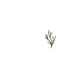 Flower Winter Sticker