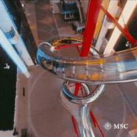 Fun Vacation GIF by MSC Cruises Official