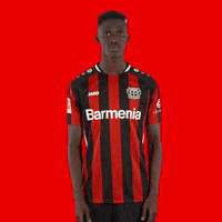 Werkself What GIF by Bayer 04 Leverkusen