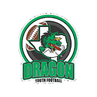 Dyf Sticker by Dragon Youth Football
