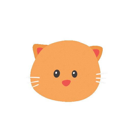gallerysyaz97 giphyupload cat hello hi Sticker