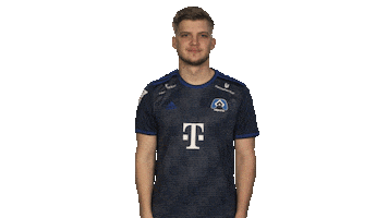 Hamburg Sticker by Bundesliga