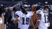 2018 nfl football GIF by NFL