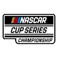 Race Champion Sticker by NASCAR