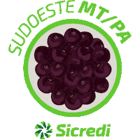 sicredisudoestemtpara sicredi sicredi sudoeste açaí sicredi Sticker
