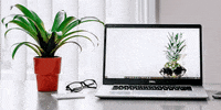 GIF by Crowdfire