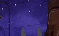 Excited Close Up GIF