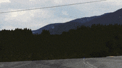 race rally GIF by Red Bull