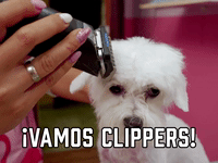 ¡Vamos Clippers!