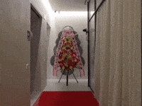 세븐틴 Hanie GIF