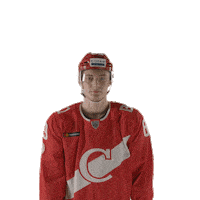 Spartakgoals Novruzov Sticker by Spartak HC