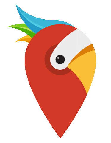 shocked pirate Sticker by HolidayPirates