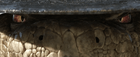 Cswigle394 giphyupload rattlesnake jake GIF