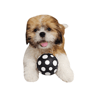 Dog Sticker by Pet Pipers