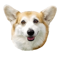 Happy Dog Sticker by Weld Realty