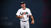 Pro GIF by USA Baseball