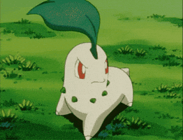 Angry Leaf GIF by Pokémon